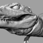 patrickbeverloo-croco